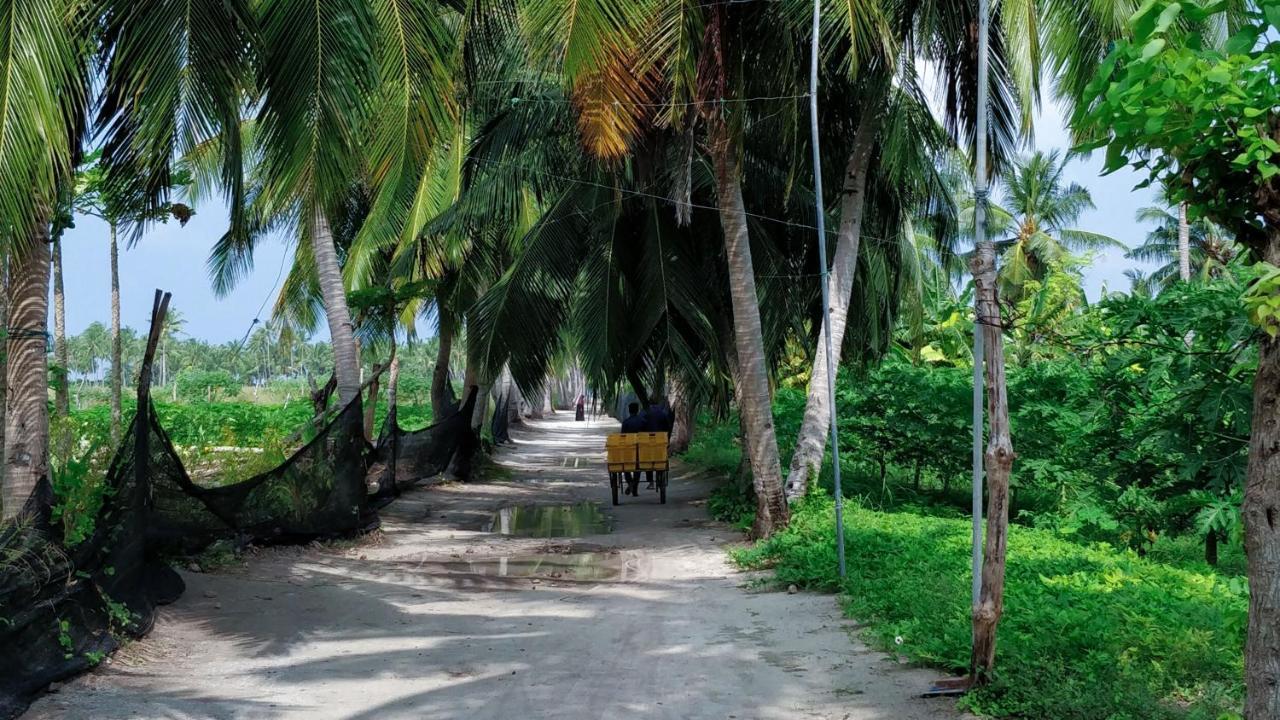 Muraka Inn Thoddoo Ngoại thất bức ảnh