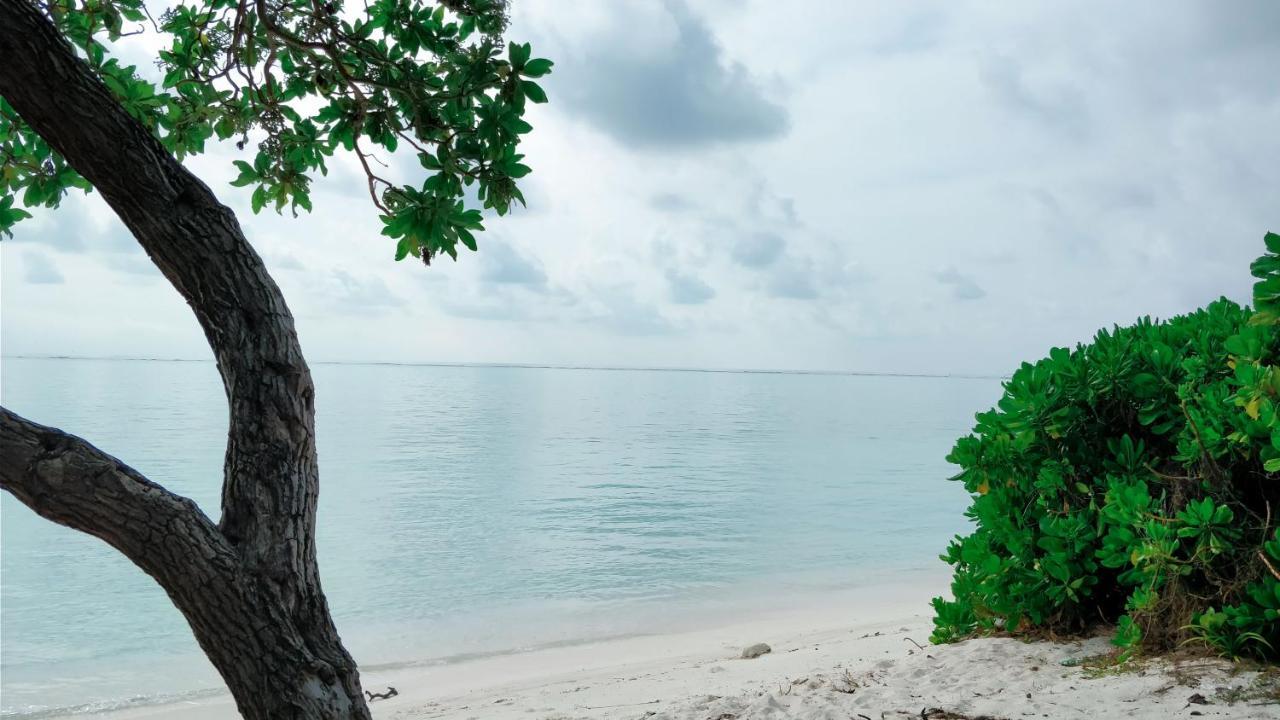 Muraka Inn Thoddoo Ngoại thất bức ảnh