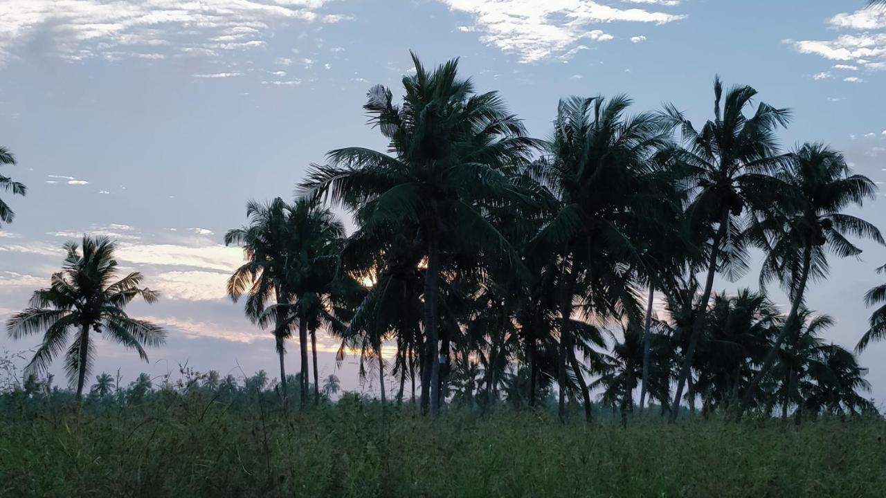 Muraka Inn Thoddoo Ngoại thất bức ảnh